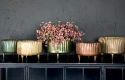 Übertopf Dekoschale XL Passion Gold Klein-PTMD New