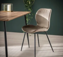 Essgruppe Baumkante Massiv Palu 130 + 4 Stühle Velvet Samt Champagner-Vintagehaus Hot