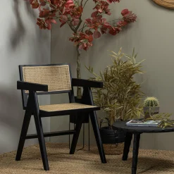 Esstischstuhl Esszimmerstuhl Armlehnstuhl Gunnar Rattan schwarz-WOOOD Clearance