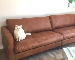 Ledersofa Classic Rodeo Chesterfield 3-Sitzer Cognac 275-BePureHome Discount