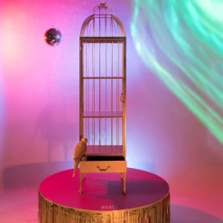 Regal Unlock Me Metall Gold Vogelkäfig-Bold Monkey Online