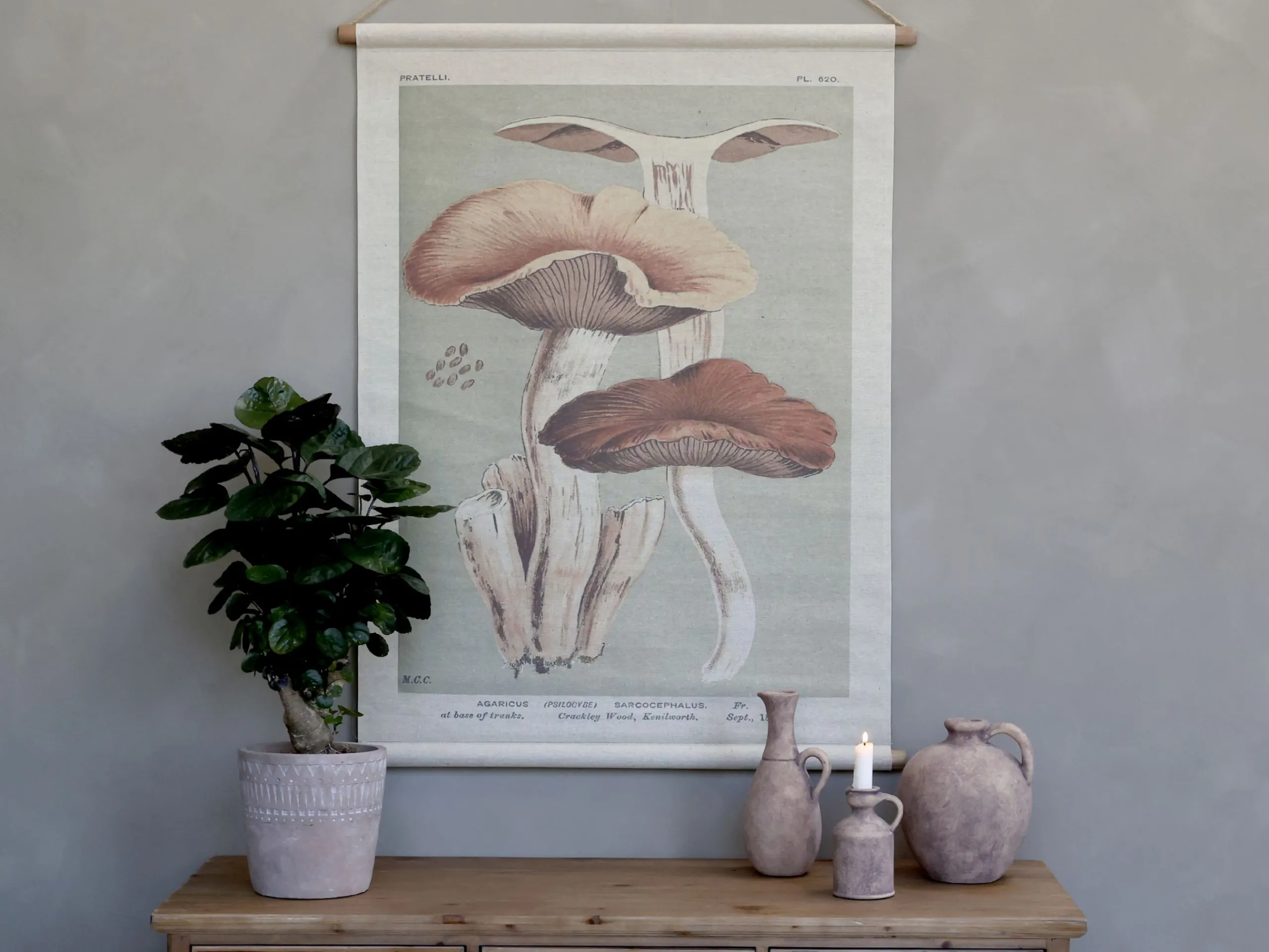 Vintage Leinwandbild Pilze Französischer Floradruck 97/76 cm-Chic Antique Best