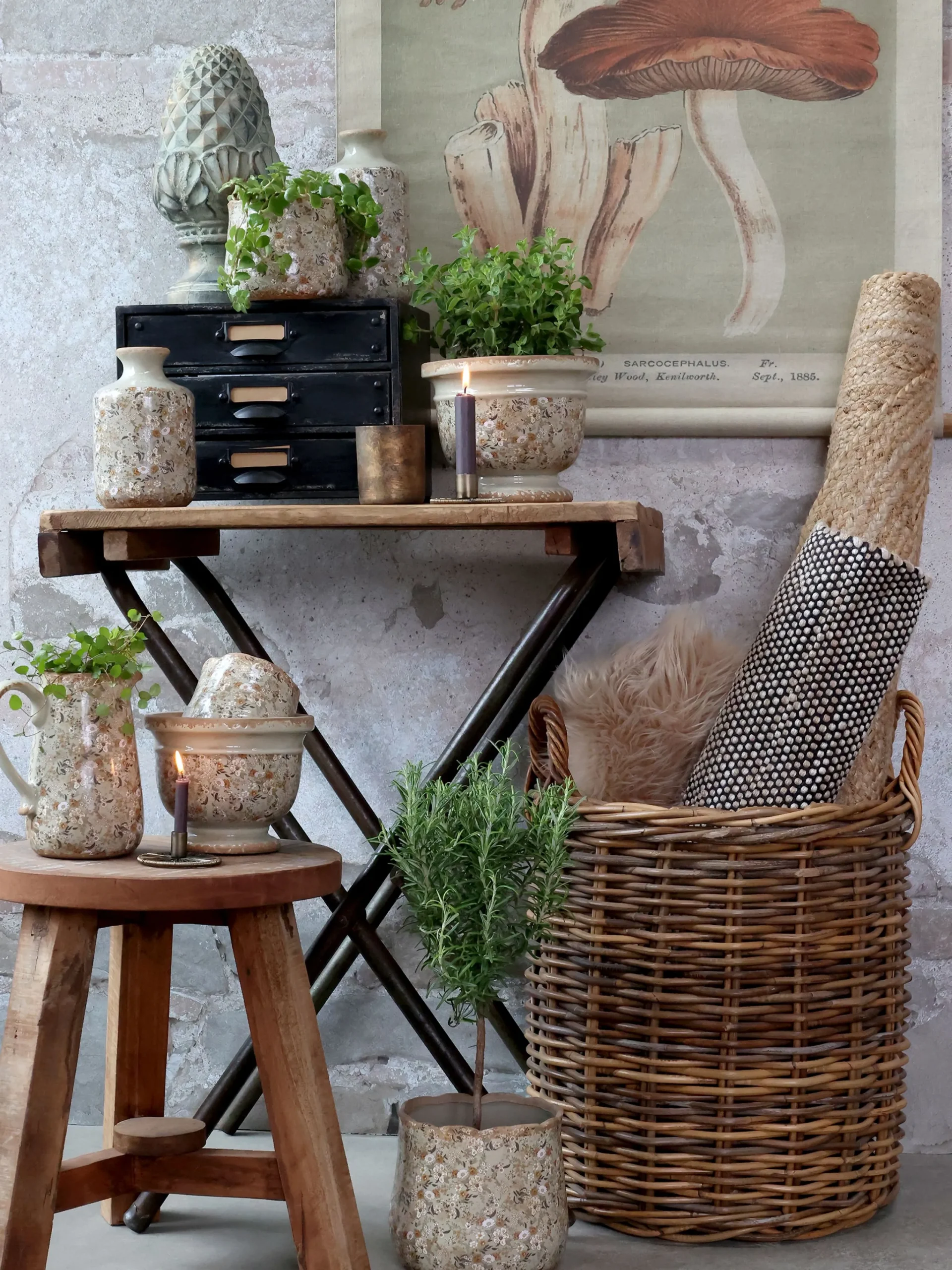 Vintage Leinwandbild Pilze Französischer Floradruck 97/76 cm-Chic Antique Best