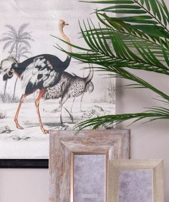 Vintage Leinwandbild Vogel Strauß Faunadruck 60/40 cm-Vintagehaus Accessoires Discount