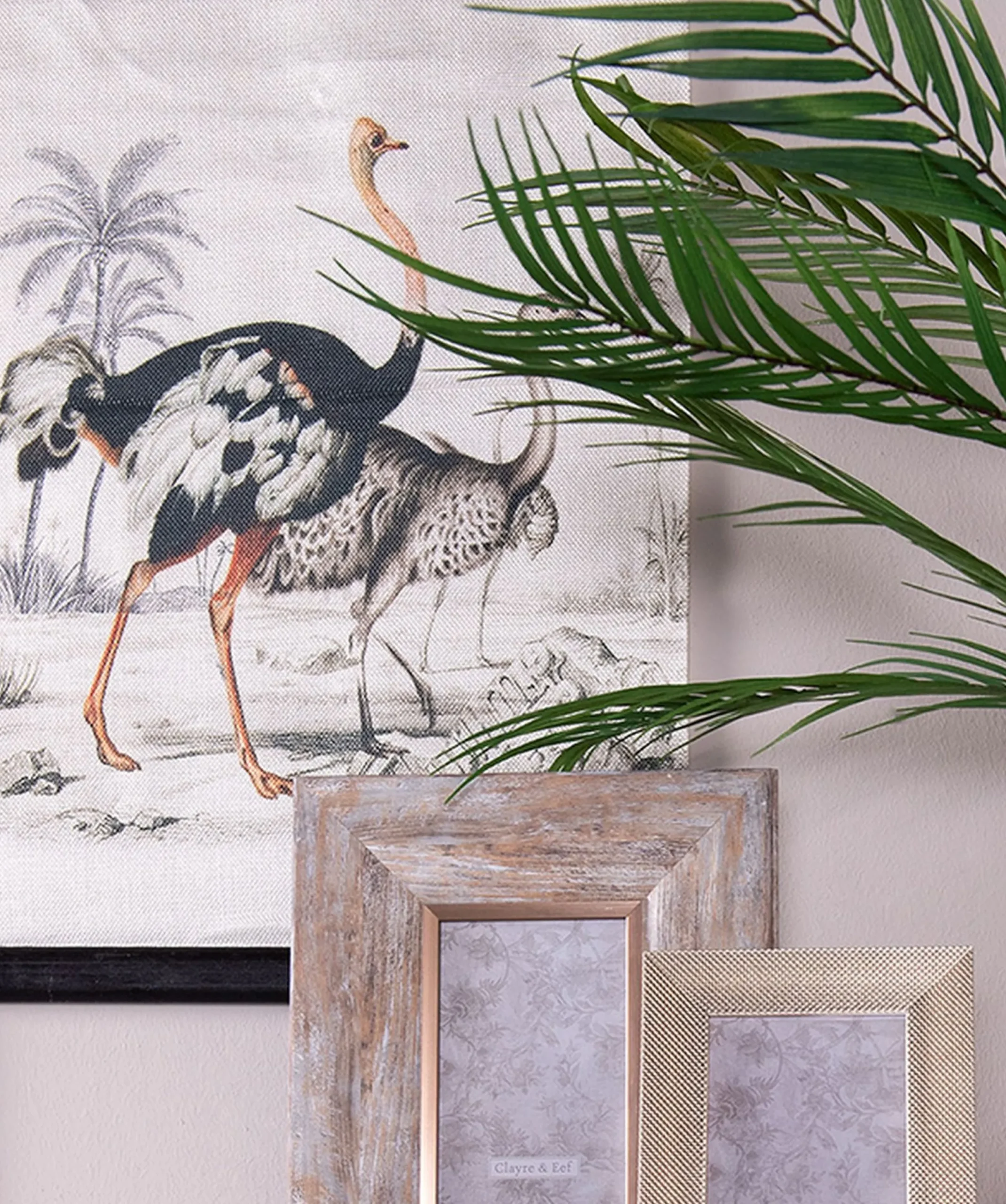 Vintage Leinwandbild Vogel Strauß Faunadruck 60/40 cm-Vintagehaus Accessoires Discount